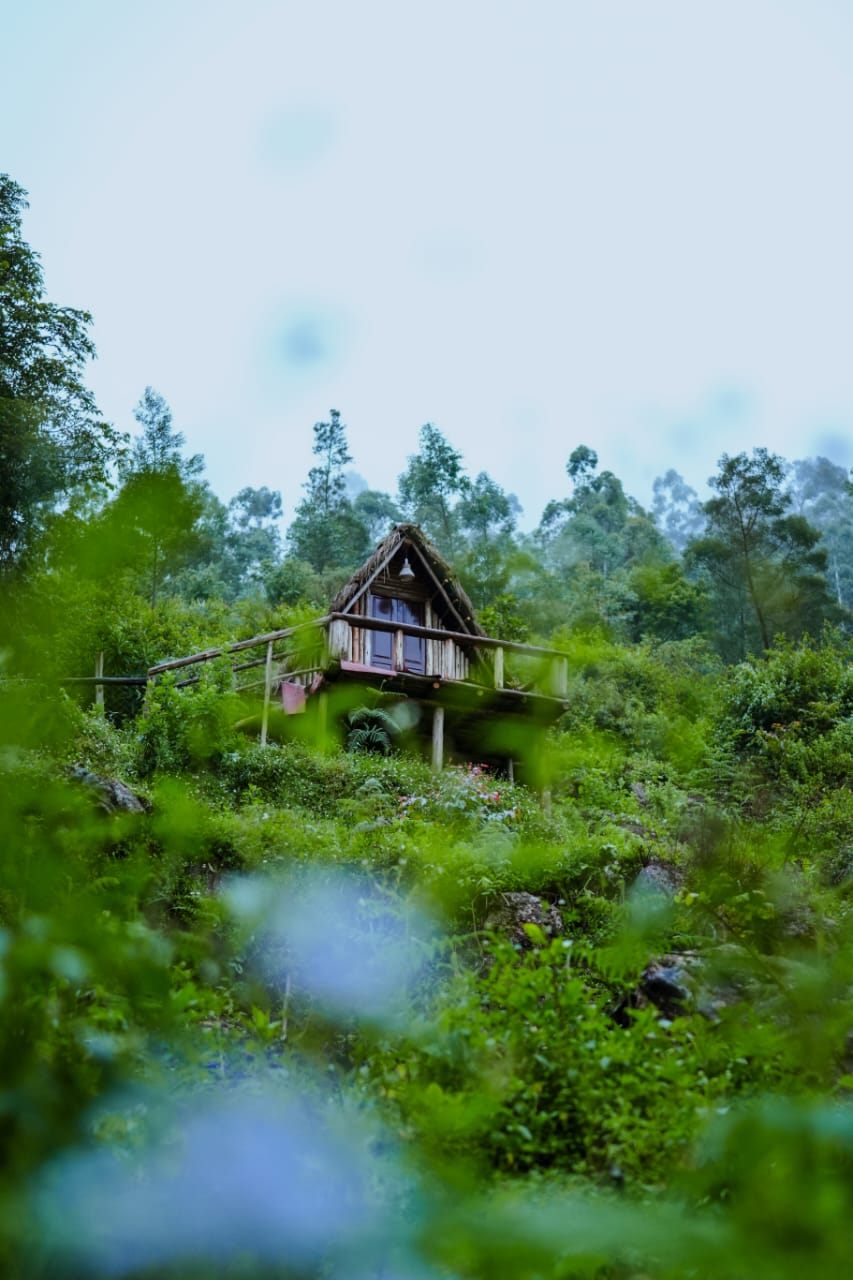 A-frame stay with private deck and panoramic valley views