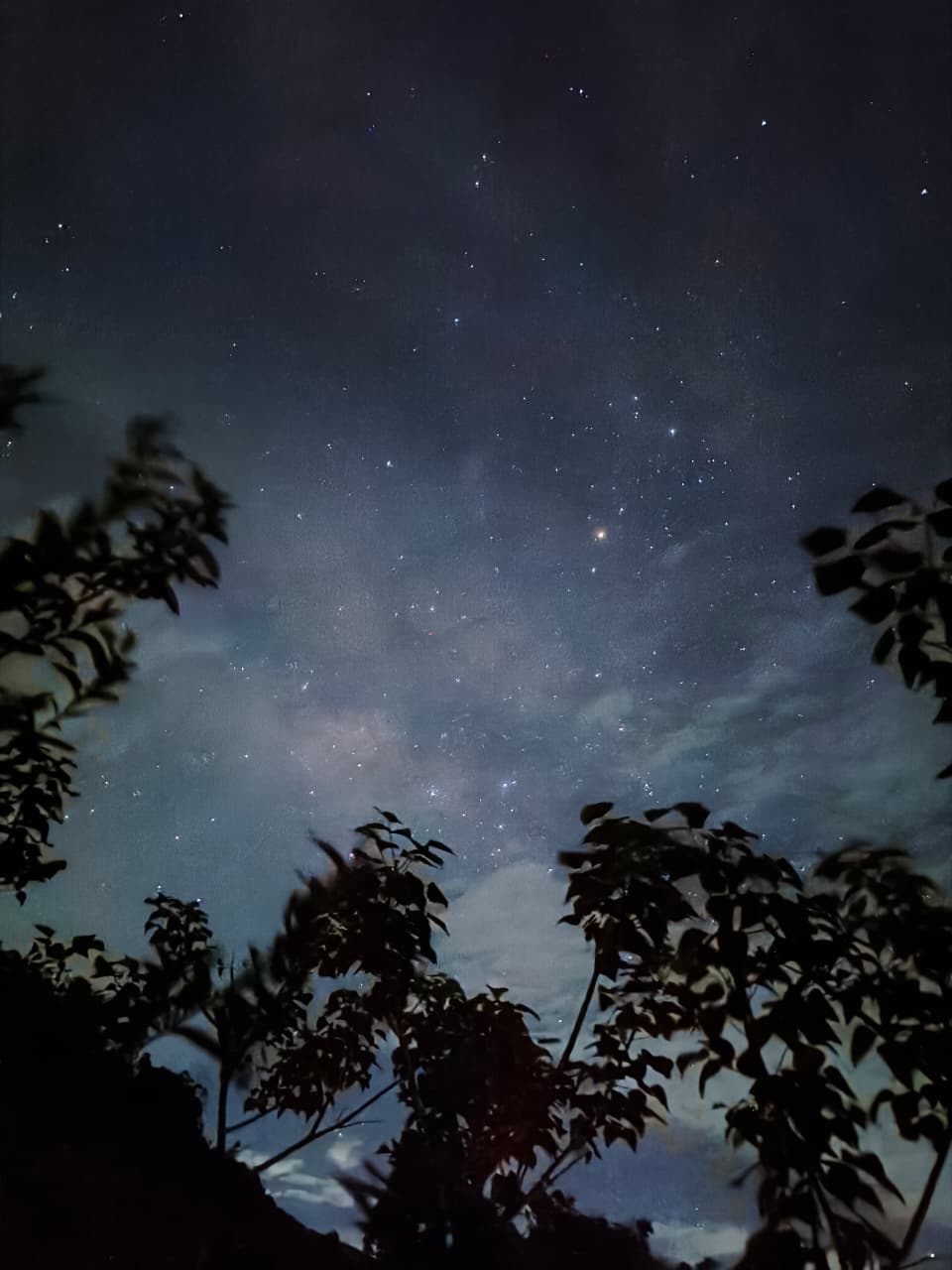 Clear starry night sky above Magic Valley camp