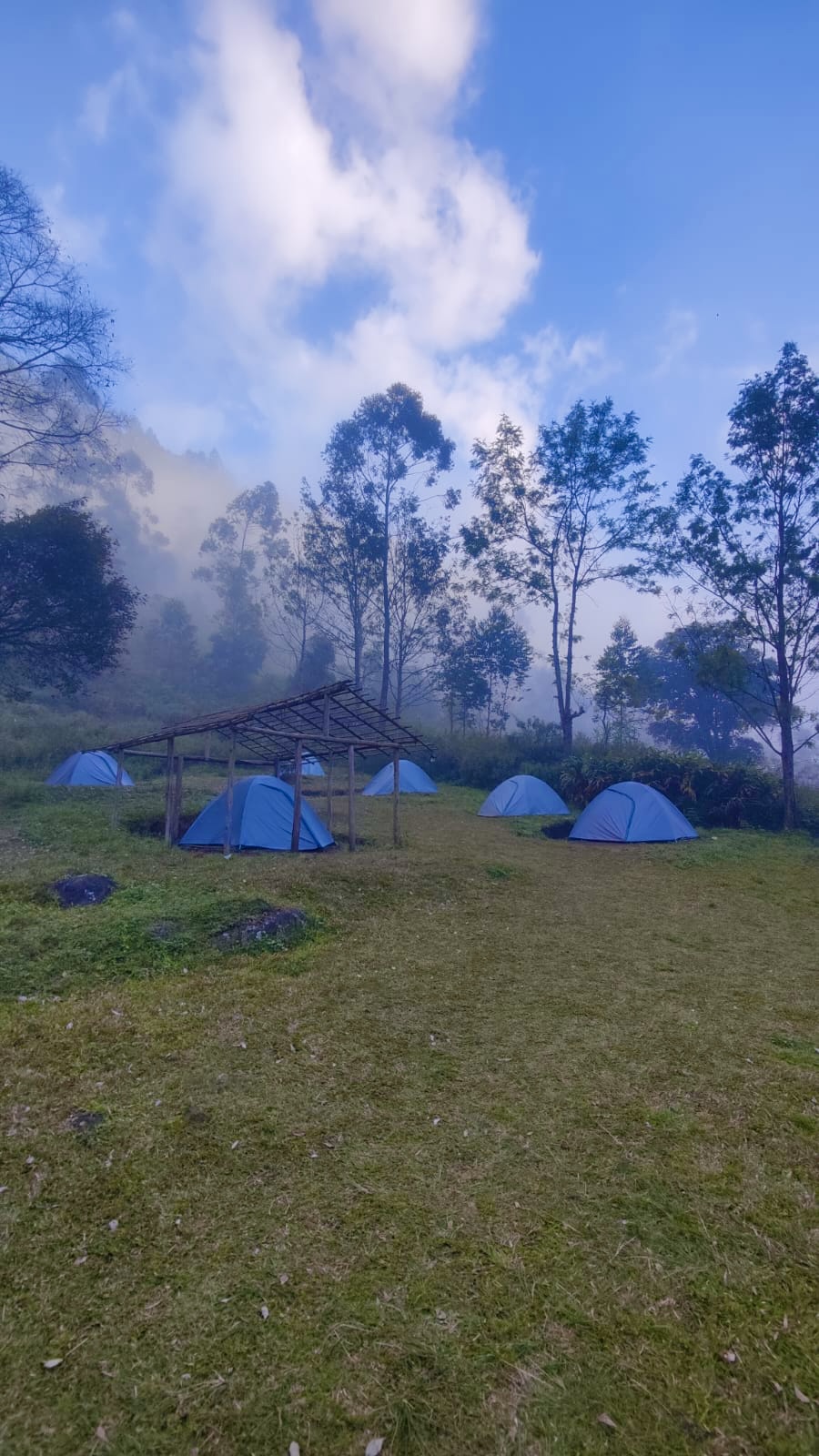 Blue camping tents in a misty clearing beneath tall trees at Magic Valley
