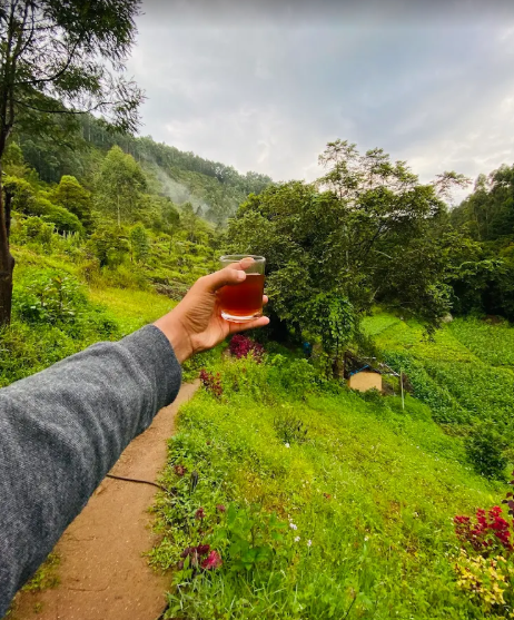 Guest cradling morning tea with the valley stretching behind